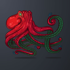 Cartoon style octopus illustration 