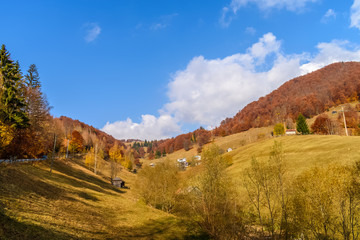 Beautiful autumn landscape full of colour from Sirnea Village in Brasov Romania