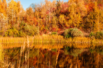 Fantastic lake in beautiful autumn orange forest