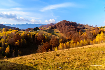 Beautiful autumn landscape full of colour from Sirnea Village in Brasov Romania