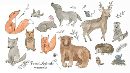 Ręcznie rysowane akwarela kreskówka doodle zestaw zwierząt. Zwierzęta leśne ilustracje na białym tle - 229396881