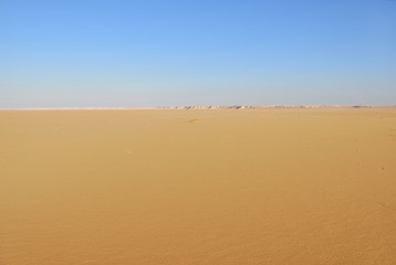 Sahara Desert scenery. Egypt