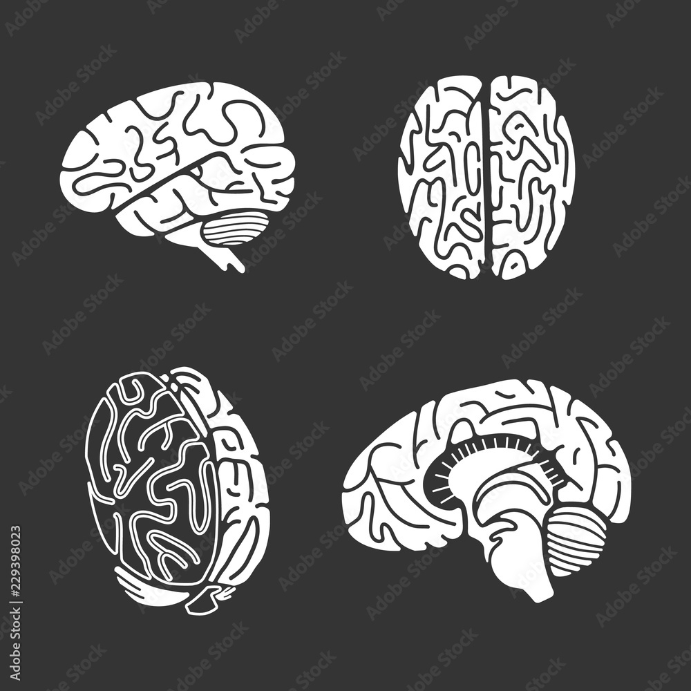 Poster brain icon set. simple set of brain vector icons for web design on gray background