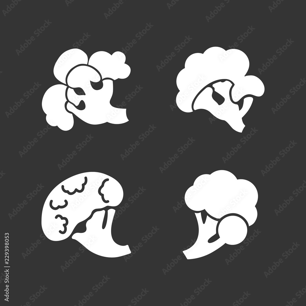 Poster Broccoli icon set. Simple set of broccoli vector icons for web design isolated on gray background