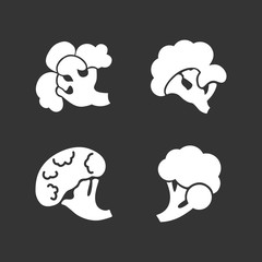Broccoli icon set. Simple set of broccoli vector icons for web design isolated on gray background