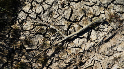 cracks in the ground