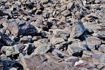 Felsen und Steine am Wildsee, Pizolgebiet
