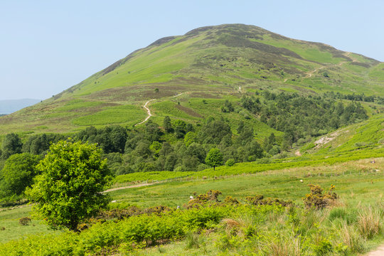 a path up a hill
