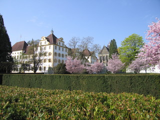 Fototapeta na wymiar Schlossgarten Salem hinter Hecke