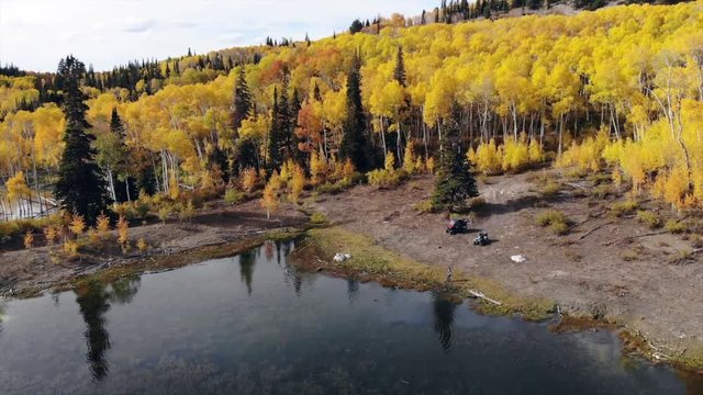 Yellow fall leaves in the rocky mountains