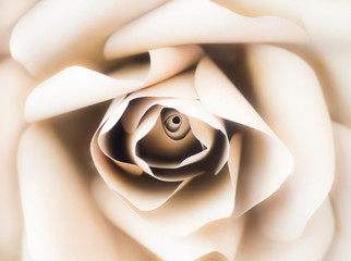 Paper white rose flowers handmade craft