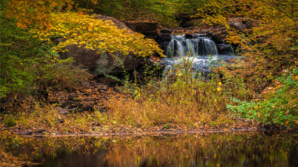 Fototapeta na wymiar Small mountain brook peaking out from yellow autumn foliage