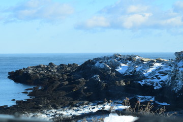 Fototapeta na wymiar winter shore rocky sea mist snow