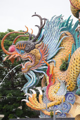 chinese dragon