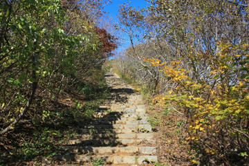 蔵王　賽の磧・刈田岳線登山コースの風景