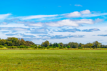 Obraz premium Indigenous Park, Maldonado Department, Uruguay