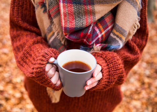 Holding cup of tea in autumn season, cozy female holding autumn tea