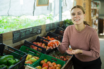 Woman choosing tomatoes among different varieties