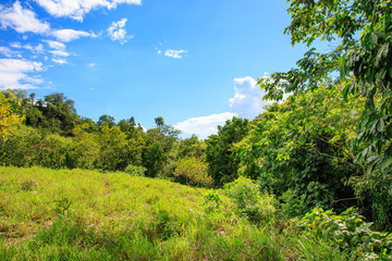 Fototapeta na wymiar Green jungle and blue sky in the mountains of Puerto Plata, Dominican Republic.