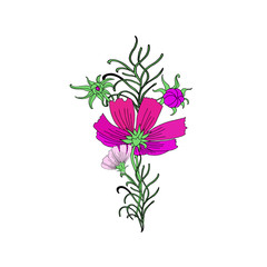 Beautiful Cosmos Flowers Template Isolated on White Background for Greeting Cards, Wedding Invitations, Illustrations, Web, Textile Designs. Cute Vector Bouquet of Cosmos Flowers