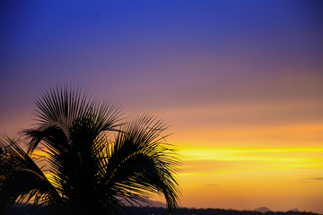 Silhouette of a palm tree in front of an orange and purple sunset in the Caribbean.