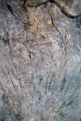 old wood texture