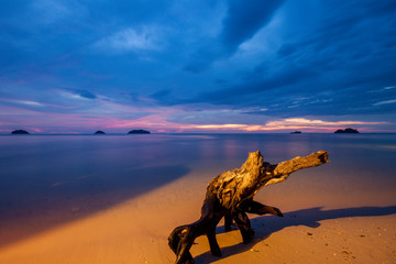 Sunset and Elephant Roots at Kai Bae Beach, Koh Chang, Thailand