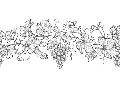 Horizontal Seamless Pattern with Grapes