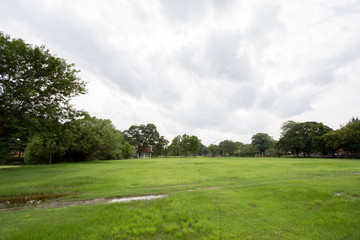 golf course on a sunny day