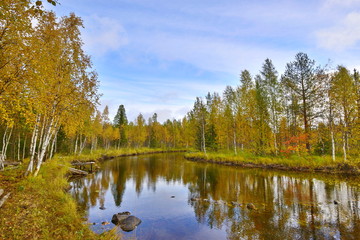 Fototapeta na wymiar mirror water in the autumn forest
