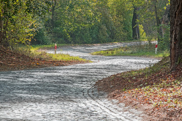 Brukowana droga przez las. © boguslavus
