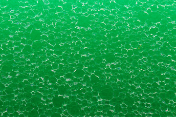 Sponge macro close up