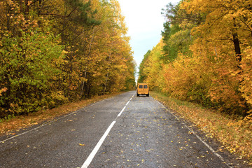 Road in the autumnal forest