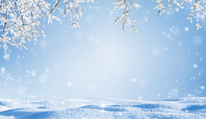 unterm verschneiten baum, eingerahmter winter hintergrund mit blauem himmel