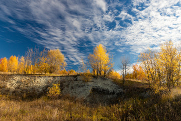 Beautiful autumn landscape