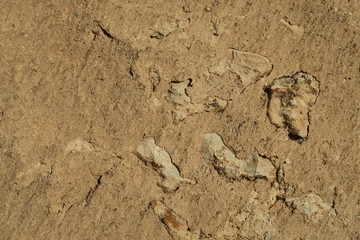 détail de mur. surface mixte avec cailloux