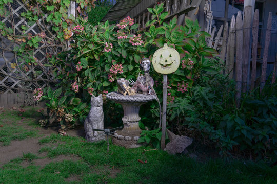 Halloween scene at night, a scelet, coffin and pumpkin head on a stick. skeleton and bones. with the backdrop of arid flowers and plants and a cat