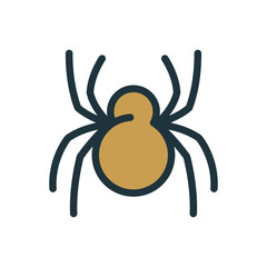 Spider Insect Minimal Color Flat Line Stroke Icon Pictogram