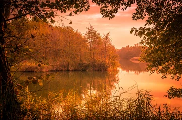 Photo sur Plexiglas Rivière Sunset over a river delta in fall. Autumn evening landscape with a lake surrounded by reeds and straw