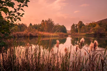 Photo sur Plexiglas Rivière Sunset over a river delta in fall. Autumn evening landscape with a lake surrounded by reeds and straw