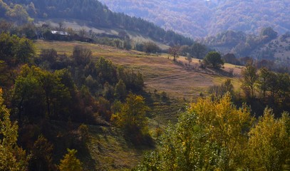 landscape in autumn
