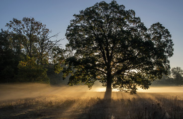 Fototapeta na wymiar Jesienny świt nad wiejskimi łąkami.