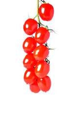 cherry tomato branch vertical on white background close-up