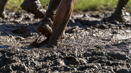 Athlete jumping into mud at an obstacle course race
