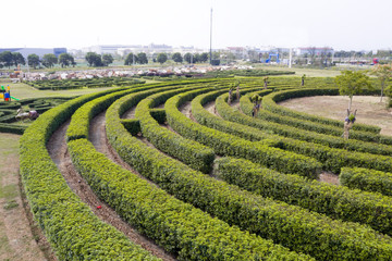 Aerial view of Green maze garden