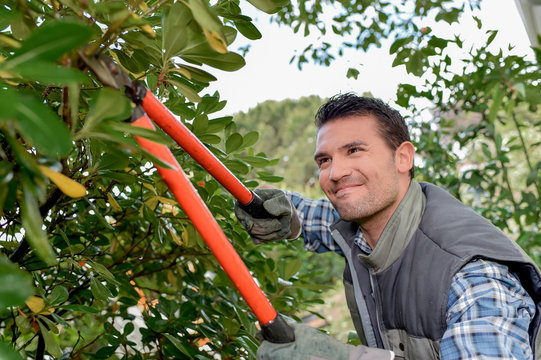 Gardener Hard At Work