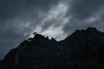 Dramatischer einsamer Baum auf einem Berg in der nähe des Torrent de Pareis