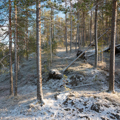 First snow