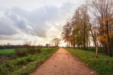 Fototapeta na wymiar Walking path through the Dutch countryside in autumn