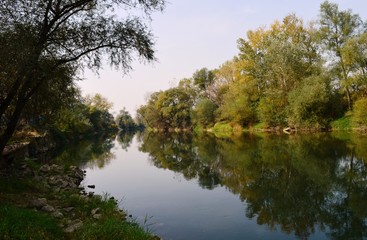 Fototapeta na wymiar reflection in the river 